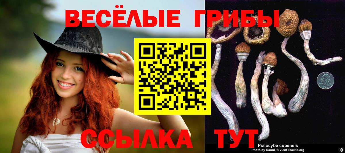 Михайловск  Псилоцибиновые грибы ЛСД  Вход с VPN  Псилоцибиновые грибы прущие грибы 